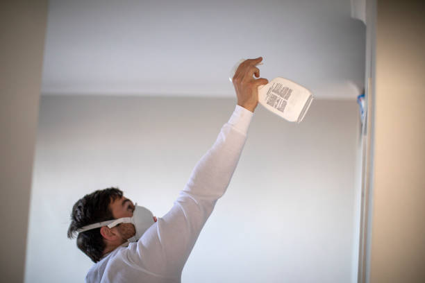 Best Attic Mold Removal  in West View, PA
