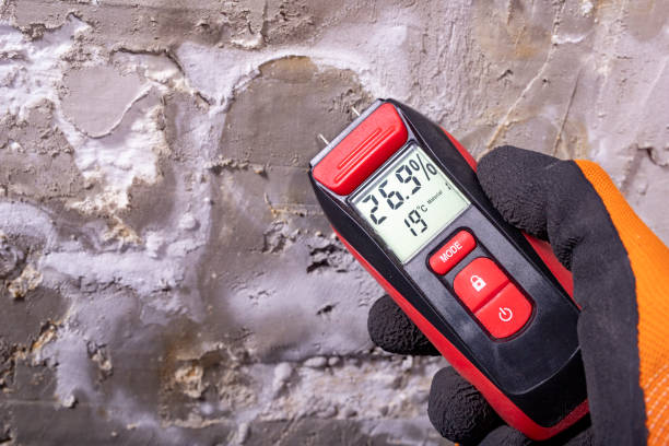 Best Toxic Mold Removal  in West View, PA