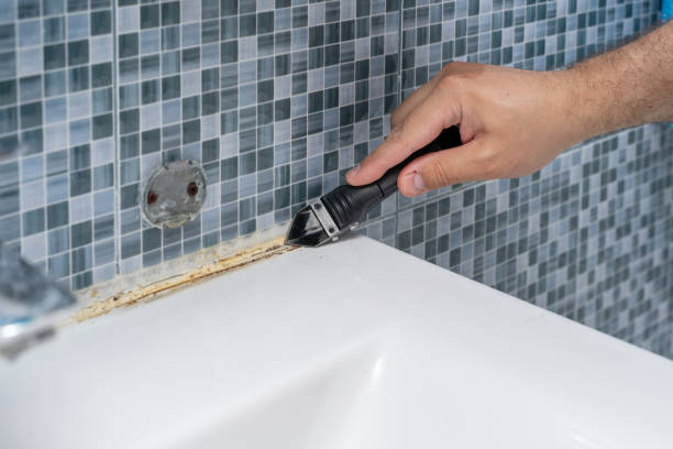 Best Mold Removal and Inspection  in West View, PA